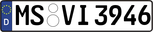 MS-VI3946