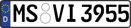 MS-VI3955