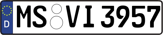 MS-VI3957