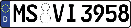 MS-VI3958