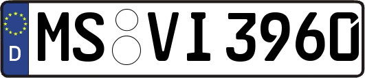 MS-VI3960