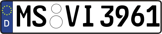 MS-VI3961