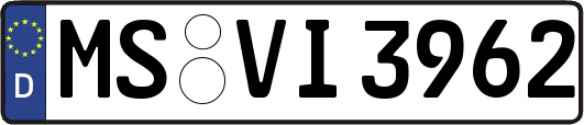MS-VI3962