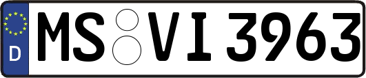 MS-VI3963