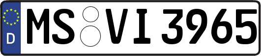 MS-VI3965