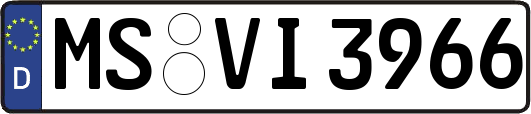 MS-VI3966