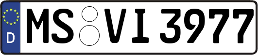 MS-VI3977