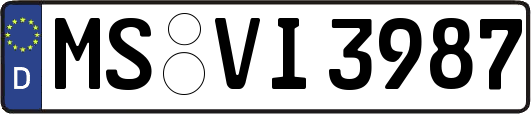 MS-VI3987