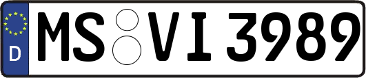 MS-VI3989