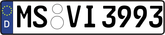 MS-VI3993