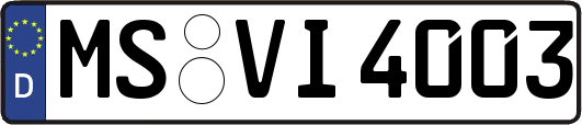 MS-VI4003