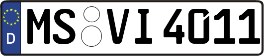 MS-VI4011