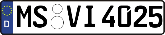 MS-VI4025