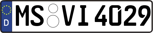 MS-VI4029