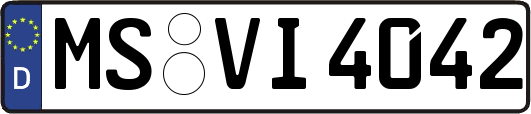 MS-VI4042
