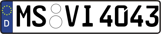 MS-VI4043