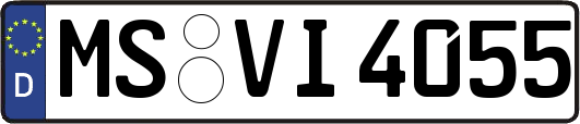 MS-VI4055