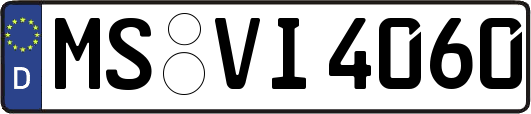 MS-VI4060