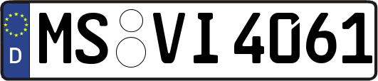 MS-VI4061