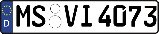 MS-VI4073