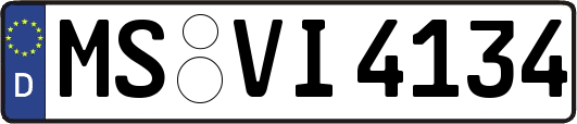 MS-VI4134