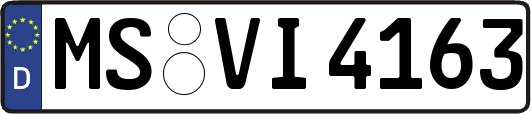 MS-VI4163