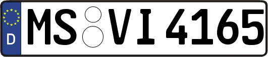 MS-VI4165