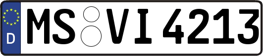 MS-VI4213