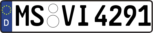 MS-VI4291