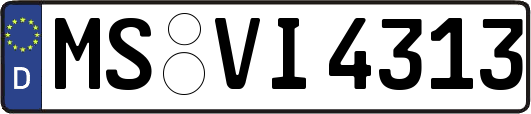 MS-VI4313