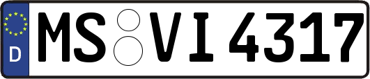 MS-VI4317
