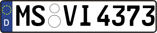 MS-VI4373