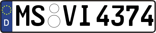 MS-VI4374