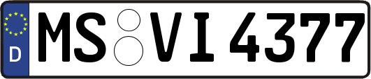 MS-VI4377