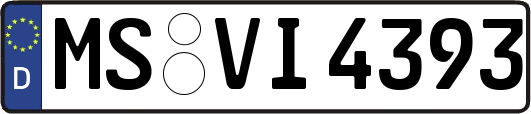 MS-VI4393