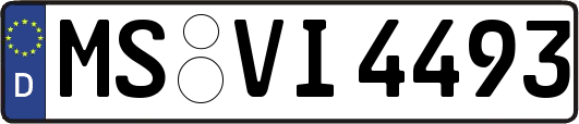 MS-VI4493