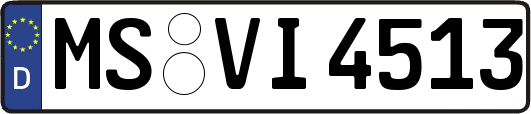 MS-VI4513
