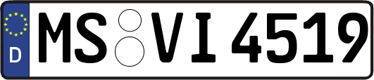 MS-VI4519