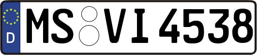 MS-VI4538