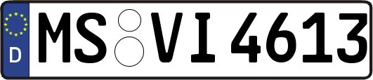 MS-VI4613