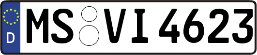 MS-VI4623