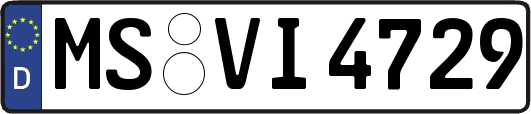 MS-VI4729