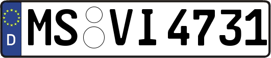 MS-VI4731