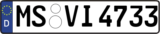 MS-VI4733