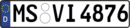 MS-VI4876