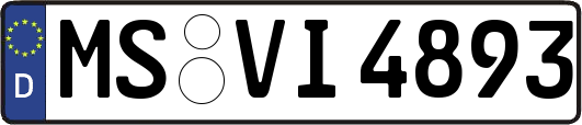 MS-VI4893