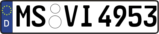 MS-VI4953