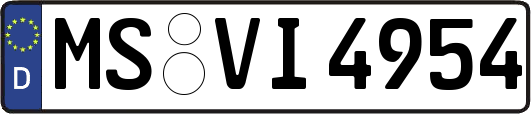 MS-VI4954