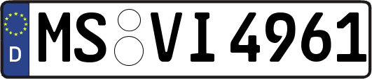 MS-VI4961