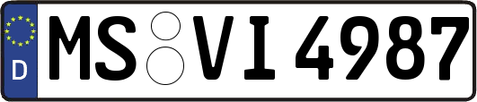 MS-VI4987